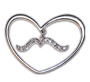 Silver Wings Pin