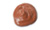 MK Signature&reg; Concealer: Bronze
