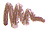 MK Signature&reg; Eyeliner: Bronze