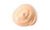 MK Signature&reg; Concealer: Ivory